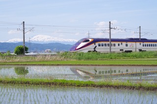 IMGP5916.jpg