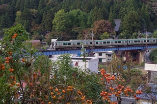 IMGP6082.jpg