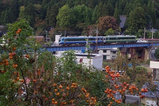 IMGP6096.jpg