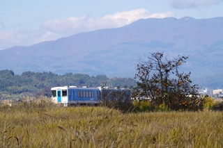 IMGP6146.jpg