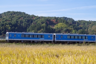 IMGP6174.jpg