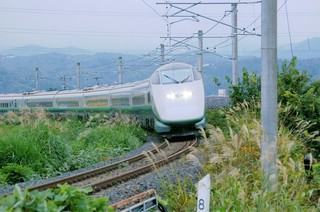 IMGP6210 (2).JPG