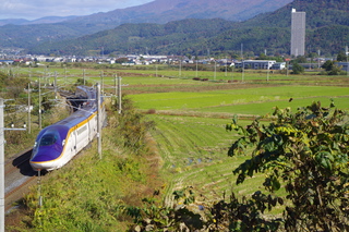 IMGP6222.JPG