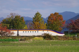 IMGP6240.jpg
