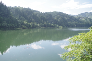 IMGP6726.JPG
