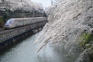 IMGP6752.JPG