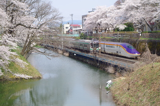 IMGP6766.JPG
