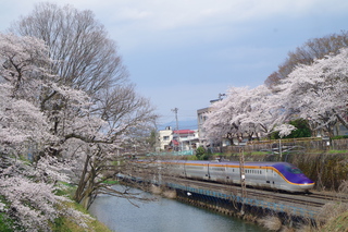 IMGP6777.JPG