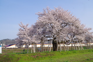 IMGP6797.JPG