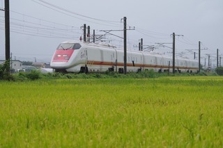 IMGP6817.jpg