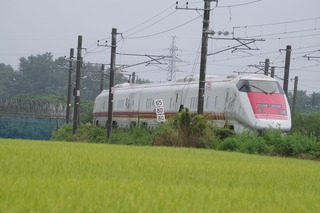 IMGP6820.jpg