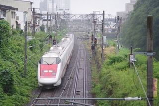 IMGP6833.jpg