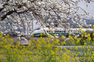 IMGP6835.JPG