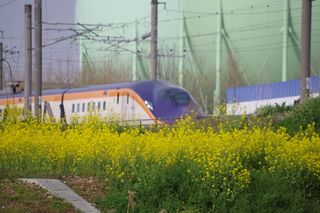 IMGP6890.JPG