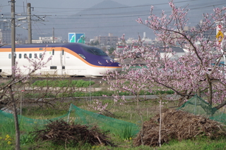 IMGP6905.JPG