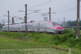 IMGP7078.JPG