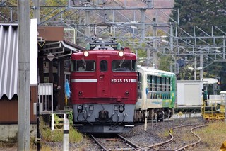 IMGP7117.jpg