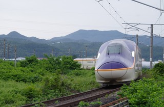 IMGP7117 - Rs[.JPG