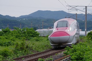 IMGP7131 - Rs[.JPG