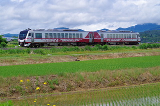 IMGP7163.JPG