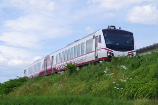 IMGP7260.JPG
