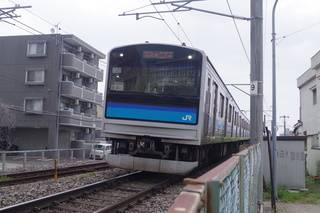 IMGP7334.JPG
