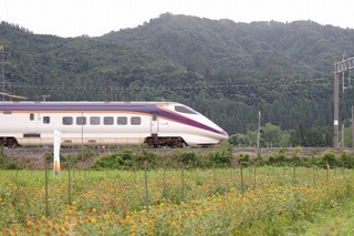 IMGP7430.jpg