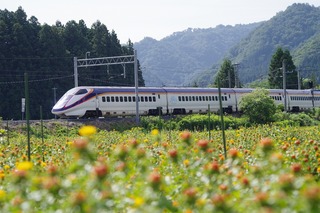 IMGP7478.jpg