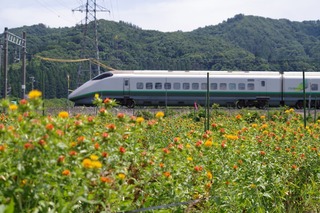 IMGP7575.jpg
