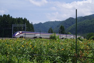 IMGP7613.jpg