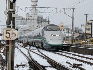 PXL_20240303_000423267.jpg