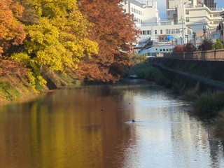 PXL_20241116_054523571.LS_exported_428.jpg