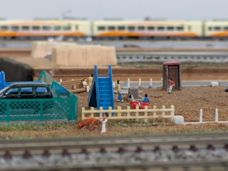 PXL_20241124_015553154.jpg