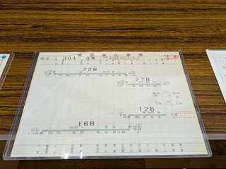 PXL_20250216_013341882.MP.jpg