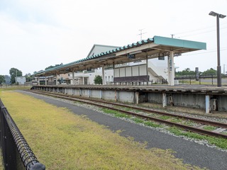 PXL_20250706_031053338.MP.jpg